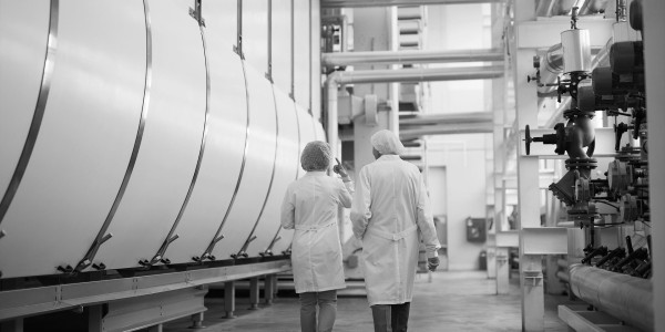 Informes Periciales Bellvei · Informes Periciales de Ingeniería